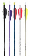 NASP Genesis™ V2 Youth Arrows