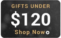 Gifts Under $120, shop now